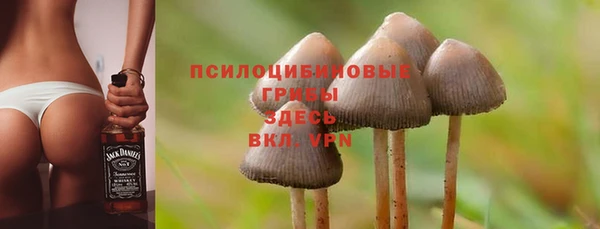 каннабис Богородицк